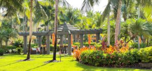 A gazebo with palm trees and bushes in the background.