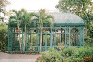 A green metal fence with palm trees in front of it.