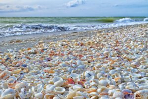 A beach with shells on the ground and waves in the background.